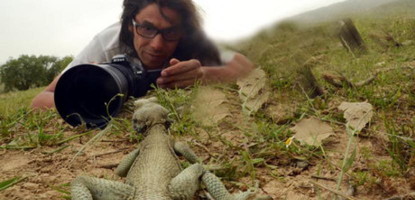 مستند های خوب، مخاطبان آثار داستانی را هم مجذوب خود می کنند