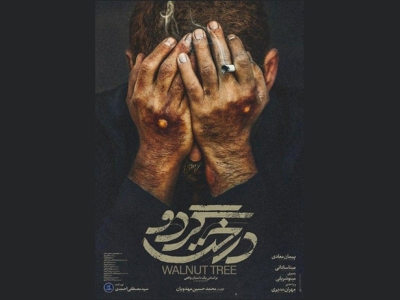 فیلم «درخت گردو» پرمخاطب‌ترین فیلم  فجر ۳۸ در مشهد