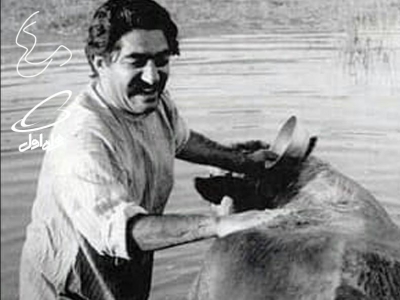 گاو؛ روزگار دوزخی مش‌حسن